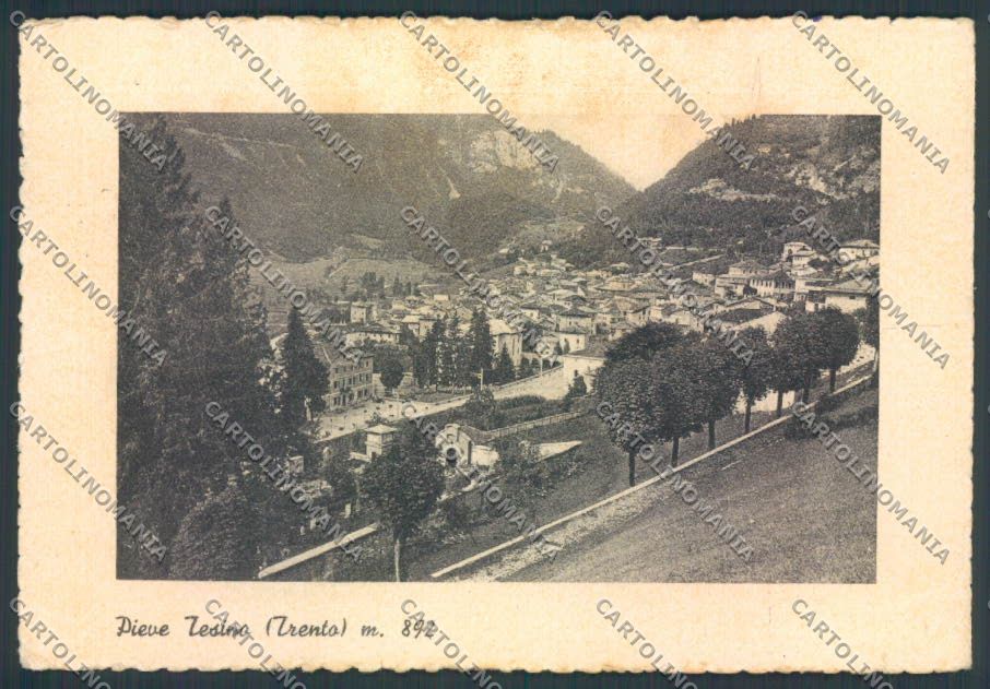 Trento Pieve Tesino PIEGA foto FG cartolina ZF2250 – fronte