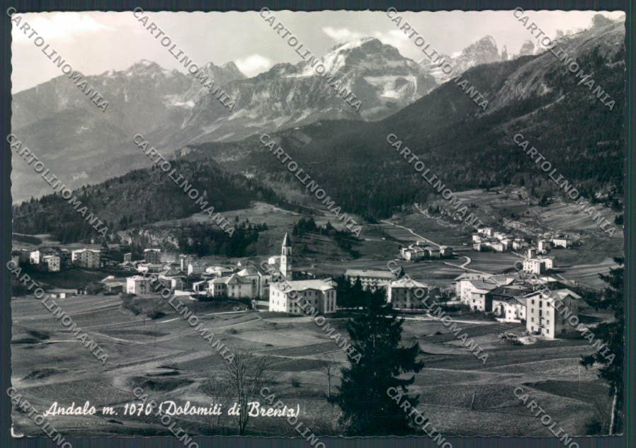 Trento Andalo foto FG cartolina ZF2255 – fronte