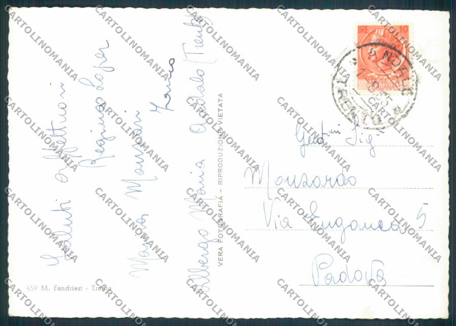 Trento Andalo foto FG cartolina ZF2255 – retro