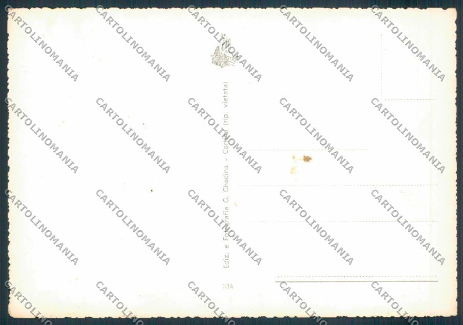 Trento città foto FG cartolina ZF2256 – retro