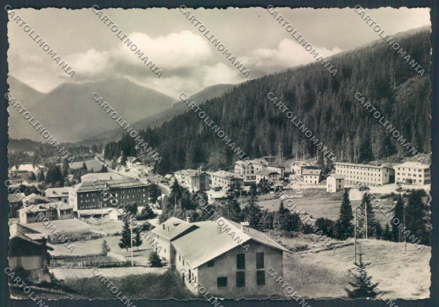 Trento Madonna di Campiglio foto FG cartolina ZF2268 – fronte