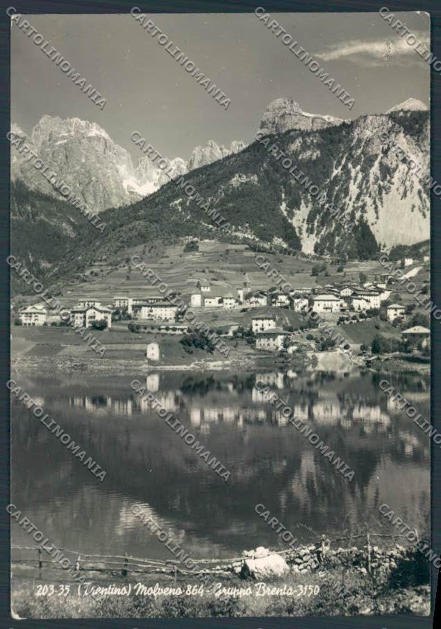 Trento Molveno foto FG cartolina ZF2269 – fronte