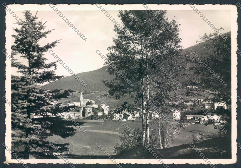 Trento Andalo foto FG cartolina ZF2276 – fronte