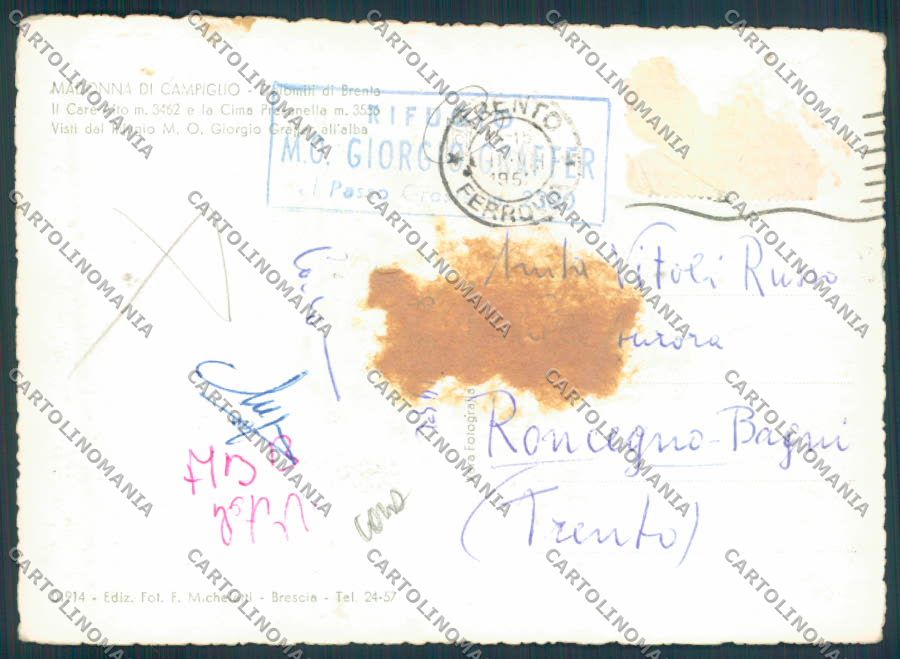 Trento Madonna di Campiglio COLLA foto FG cartolina ZF2278 – retro