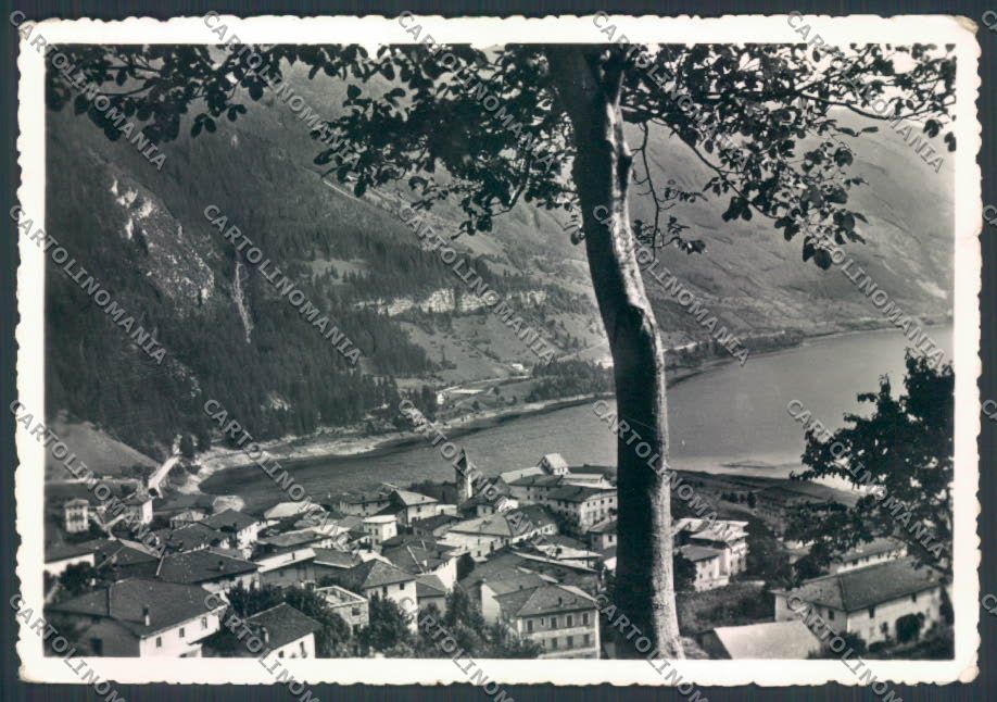 Trento Molveno foto FG cartolina ZF2281 – fronte