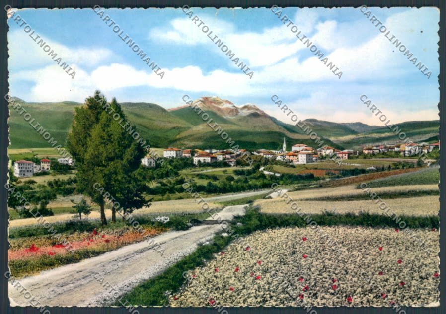 Trento Cavareno STRAPPINI foto FG cartolina ZF2284 – fronte