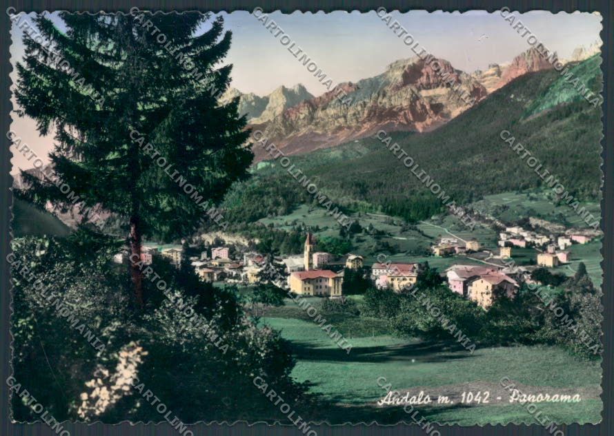 Trento Andalo foto FG cartolina ZF2285 – fronte