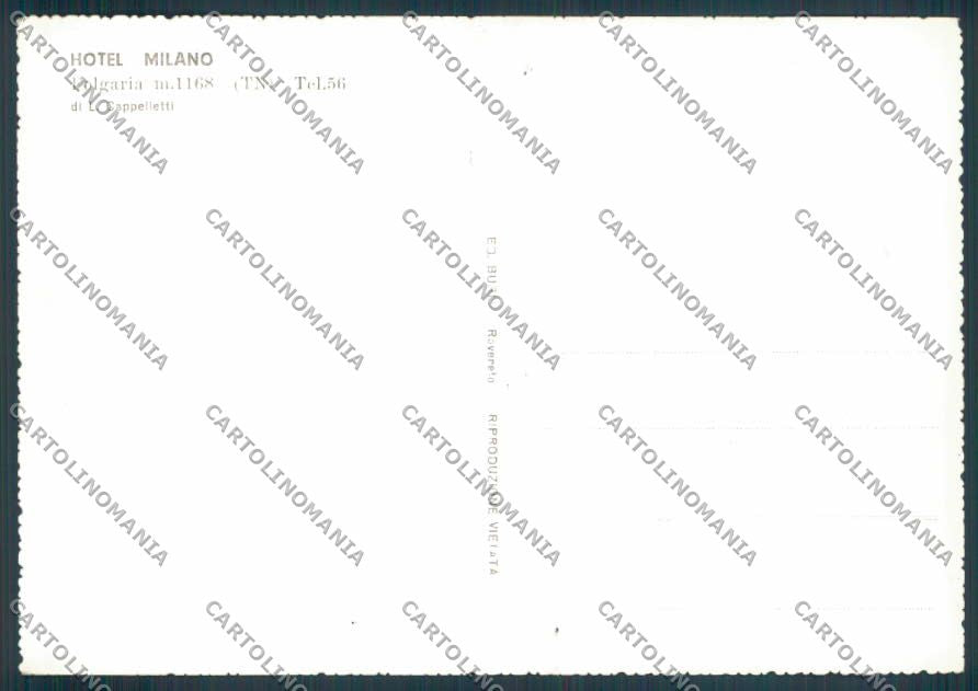 Trento Folgaria foto FG cartolina ZF2300 – retro