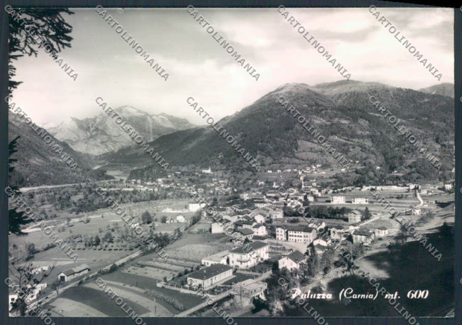 Udine Paluzza foto FG cartolina ZF2375 – fronte