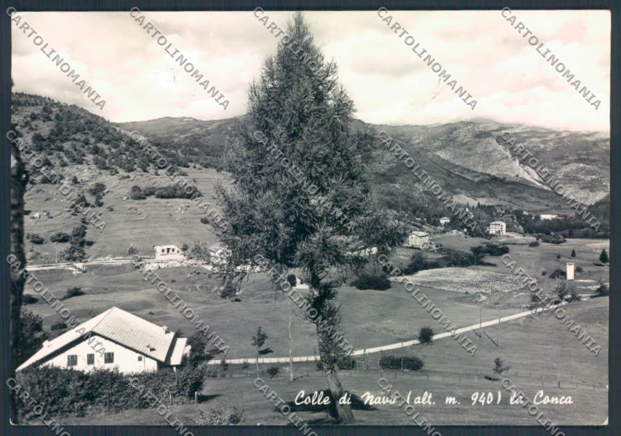 Imperia Colle di Nava foto FG cartolina ZF2437 – fronte