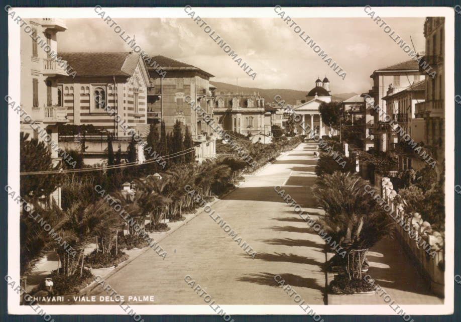 Genova Chiavari Viale Palme foto FG cartolina ZF2605 – fronte