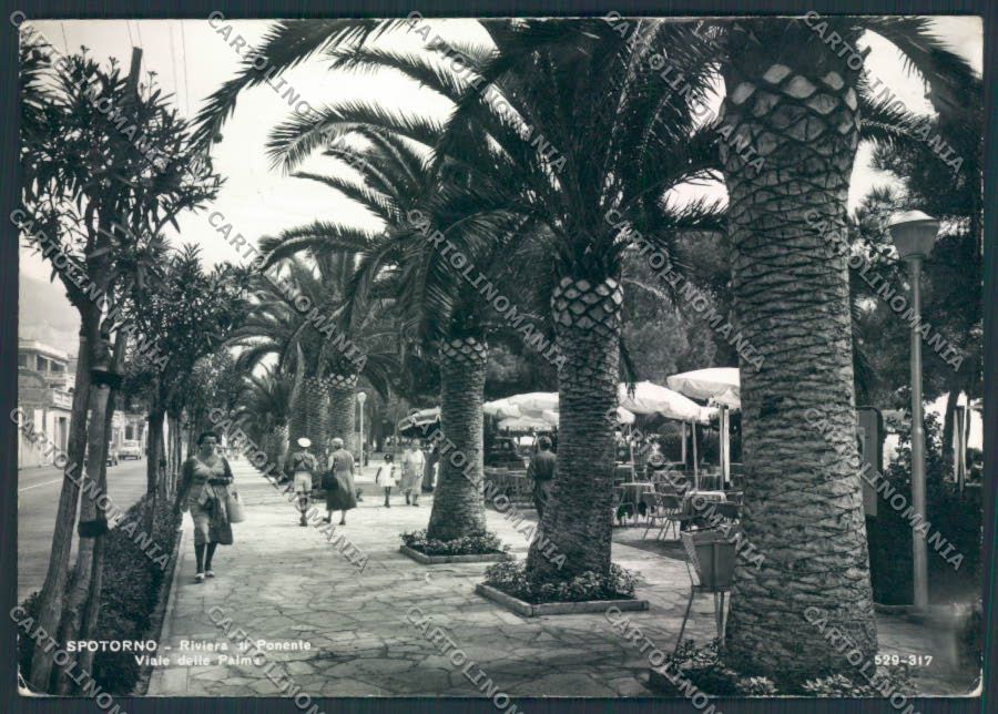 Savona Spotorno foto FG cartolina ZF2721 – fronte