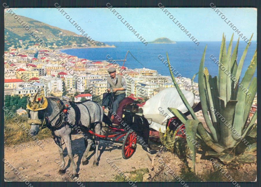 Savona Alassio foto FG cartolina ZF2974 – fronte