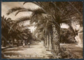Savona Finale Ligure foto FG cartolina ZF3021 – fronte