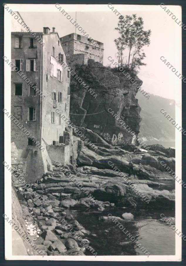 Genova Camogli foto FG cartolina ZF3074 – fronte