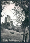 Genova Torriglia foto FG cartolina ZF3249 – fronte
