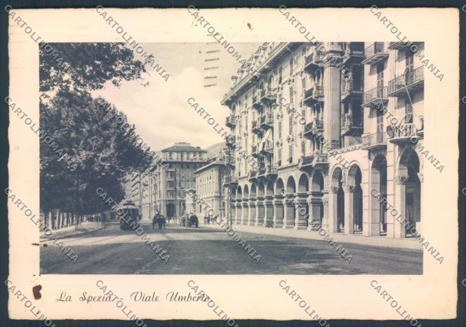 La Spezia città FG cartolina ZF3260 – fronte