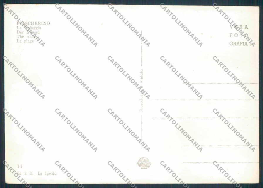 La Spezia Fiascherino foto FG cartolina ZF3333 – retro