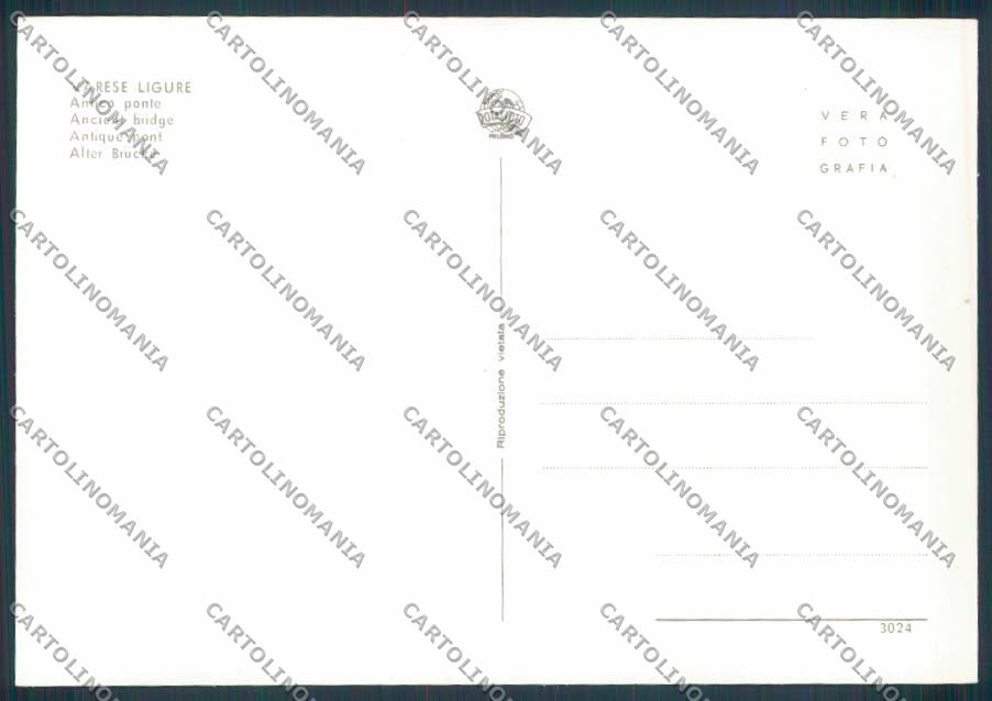 La Spezia Varese Ligure foto FG cartolina ZF3338 – retro