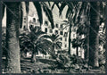 Imperia Sanremo foto FG cartolina ZF3461 – fronte