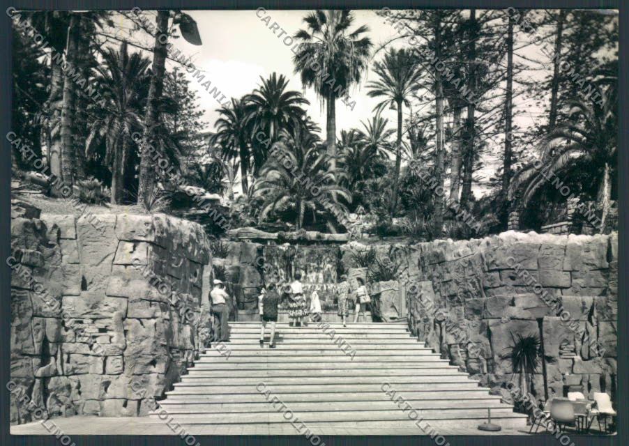 Imperia Sanremo foto FG cartolina ZF3469 – fronte