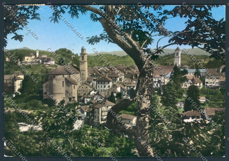 Savona Sassello foto FG cartolina ZF3529 – fronte