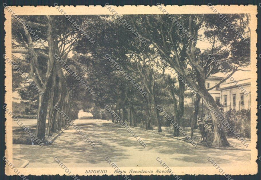 Livorno città Accademia FG cartolina ZF3552 – fronte