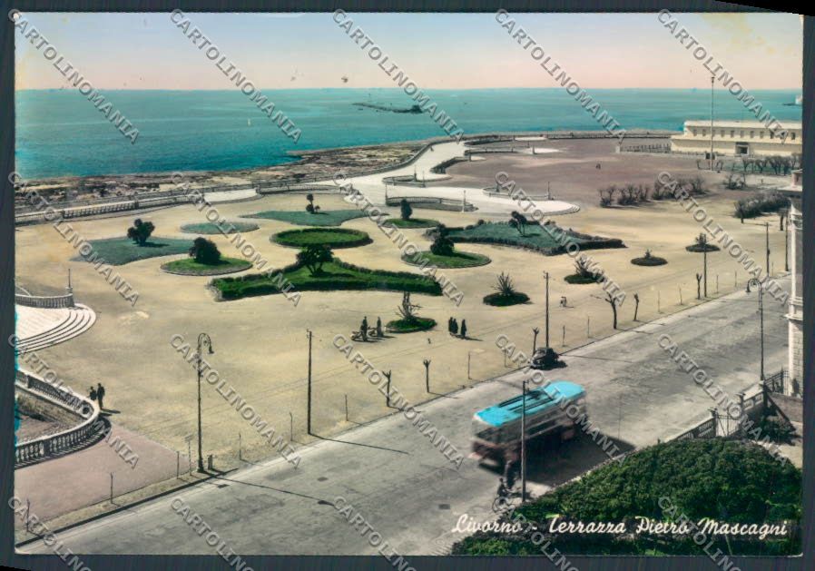 Livorno città foto FG cartolina ZF3563 – fronte