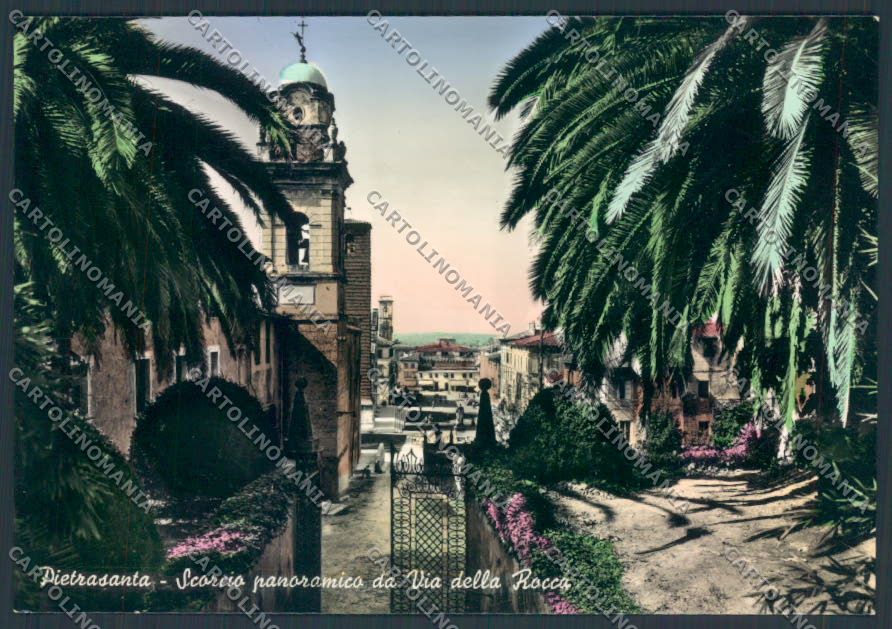 Lucca Pietrasanta foto FG cartolina ZF3636 – fronte