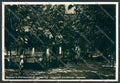 Lucca Pietrasanta Fiumetto ABRASA foto FG cartolina ZF3668 – fronte