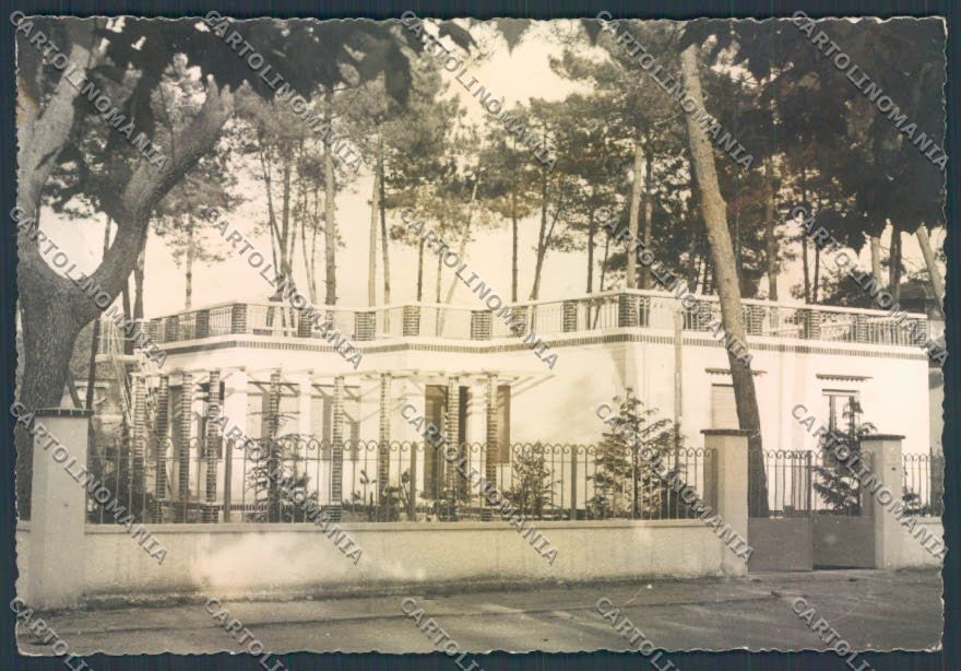 Massa Marina di COLLA foto FG cartolina ZF3716 – fronte
