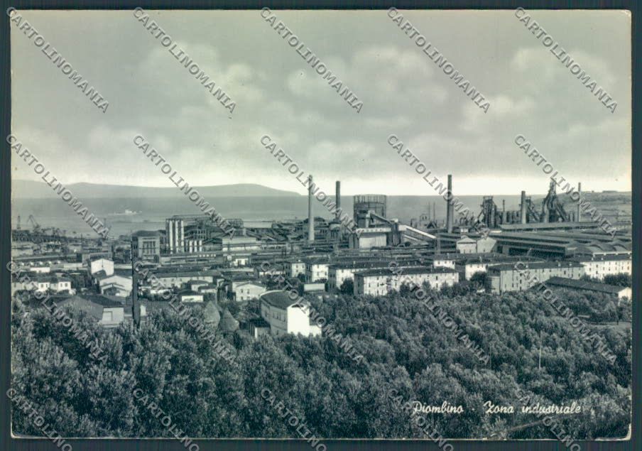 Livorno Piombino PIEGA foto FG cartolina ZF3750 – fronte