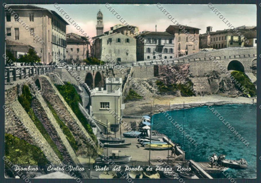 Livorno Piombino Centro Velico foto FG cartolina ZF3754 – fronte