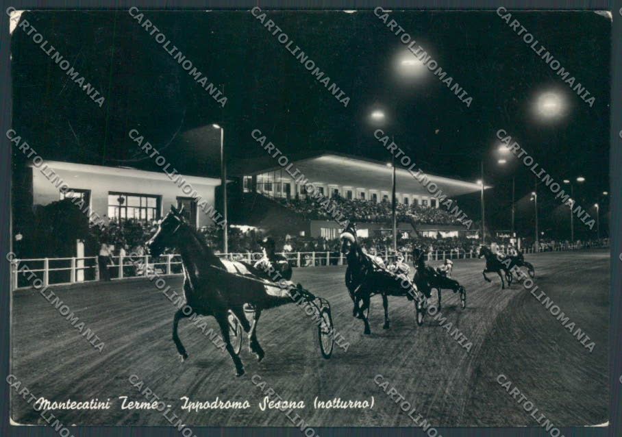 Pistoia Montecatini Ippodromo foto FG cartolina ZF3821 – fronte