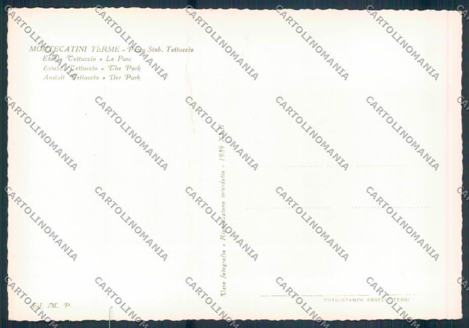 Pistoia Montecatini foto FG cartolina ZF3831 – retro