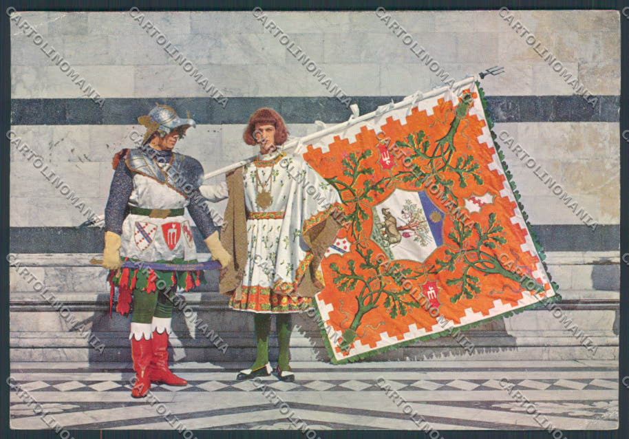 Siena città Contrada Selva Bonelli FG cartolina ZF3865 – fronte
