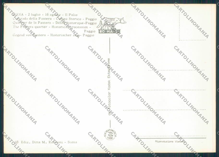 Siena città Palio Pantera foto FG cartolina ZF3885 – retro