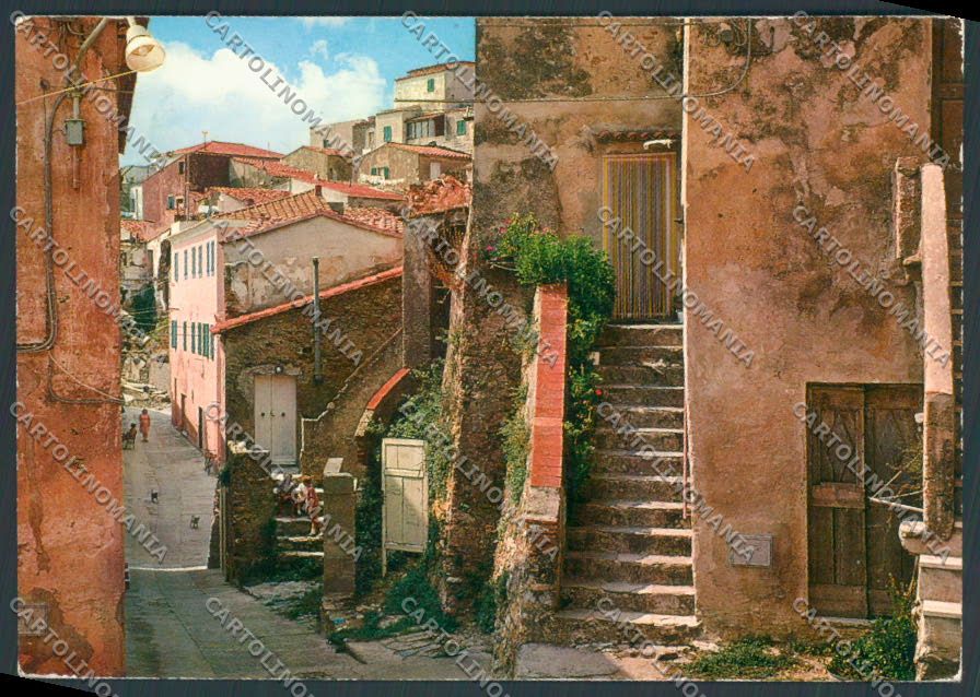 Livorno Elba Capoliveri foto FG cartolina ZF3992 – fronte