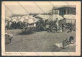 Lucca Viareggio FG cartolina ZF4126 – fronte