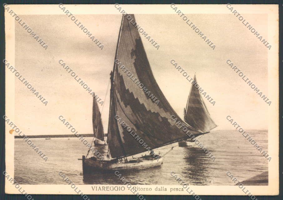 Lucca Viareggio FG cartolina ZF4157 – fronte