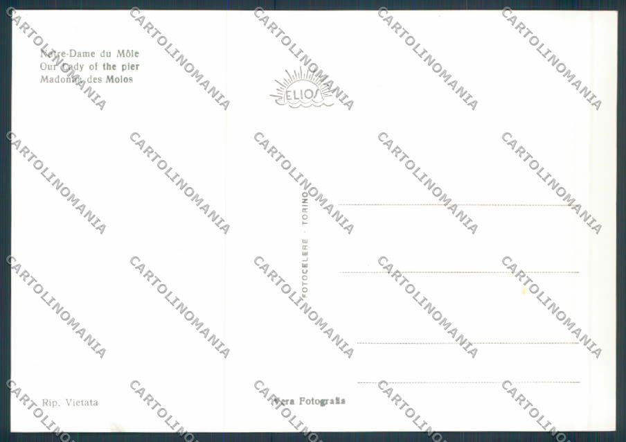 Lucca Viareggio foto FG cartolina ZF4205 – retro