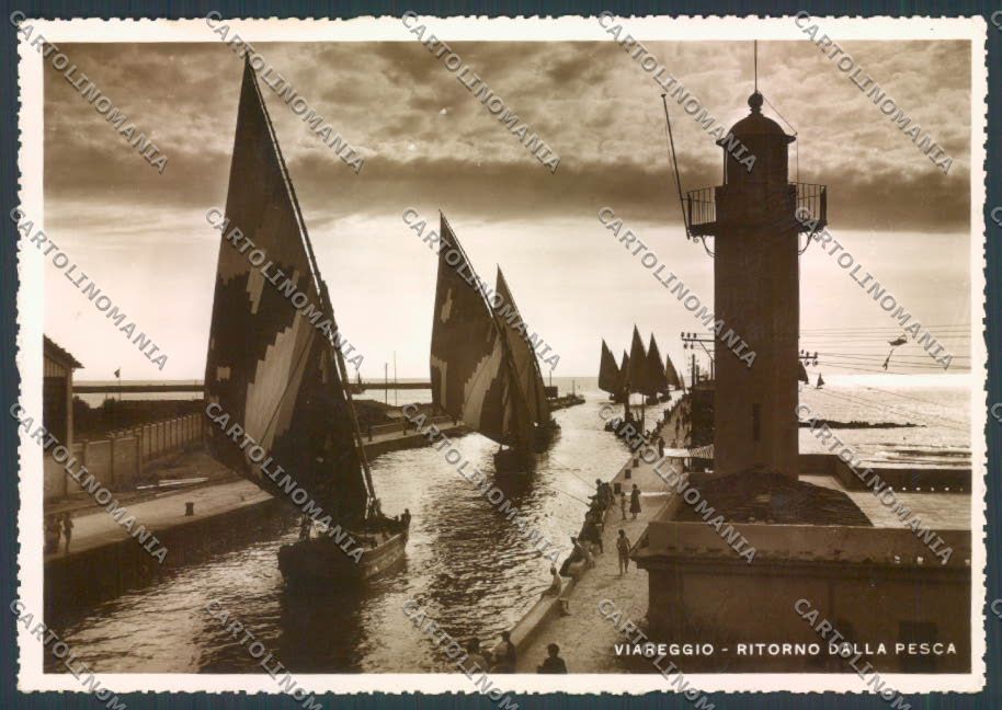 Lucca Viareggio Faro foto FG cartolina ZF4211 – fronte