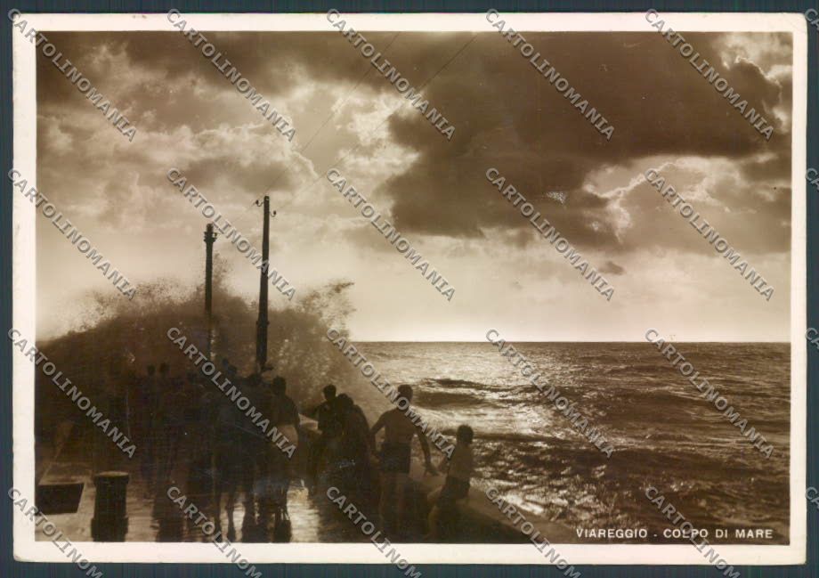 Lucca Viareggio foto FG cartolina ZF4217 – fronte