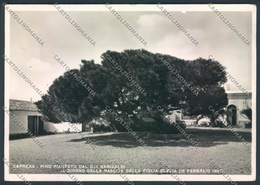 Sassari Caprera Garibaldi foto FG cartolina ZF4310 – fronte