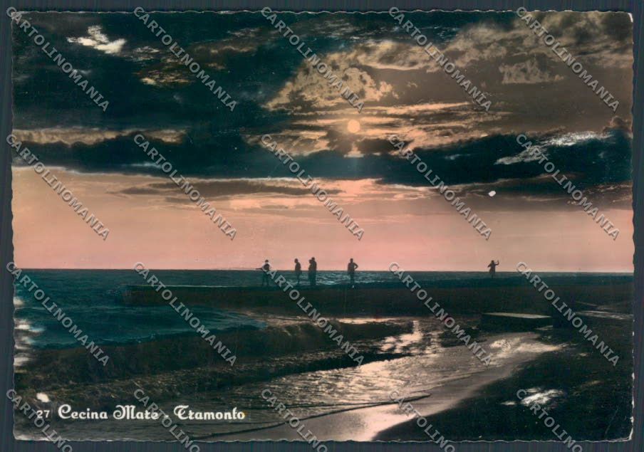 Livorno Cecina foto FG cartolina ZF4325 – fronte