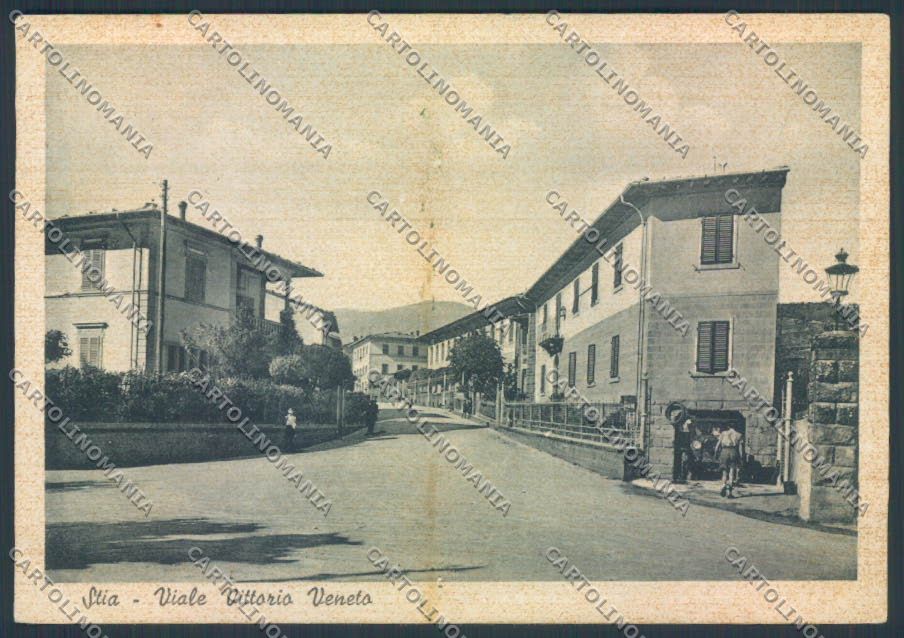 Arezzo Stia ABRASA FG cartolina ZF4378 – fronte