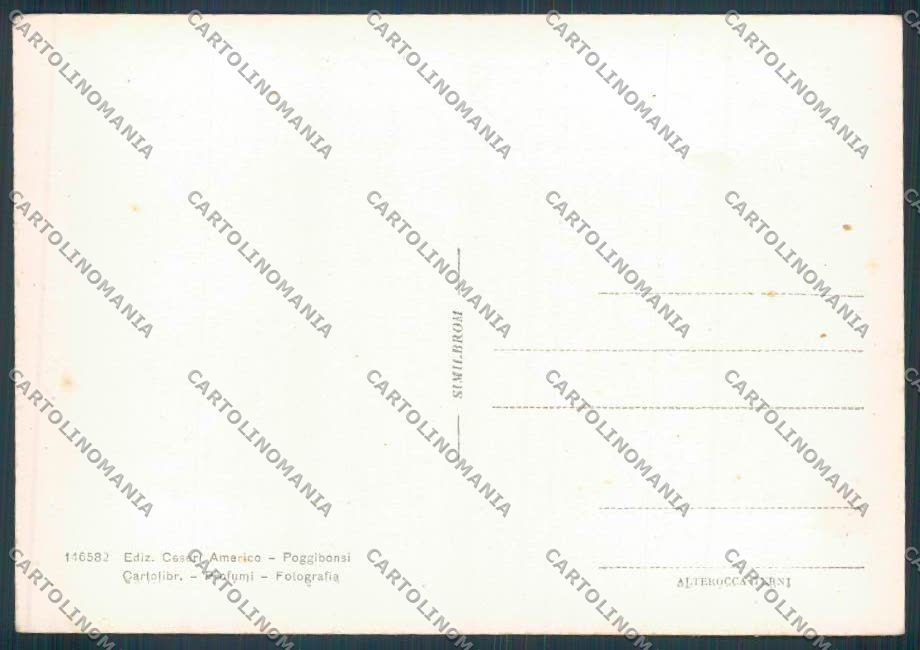 Siena Poggibonsi FG cartolina ZF4443 – retro