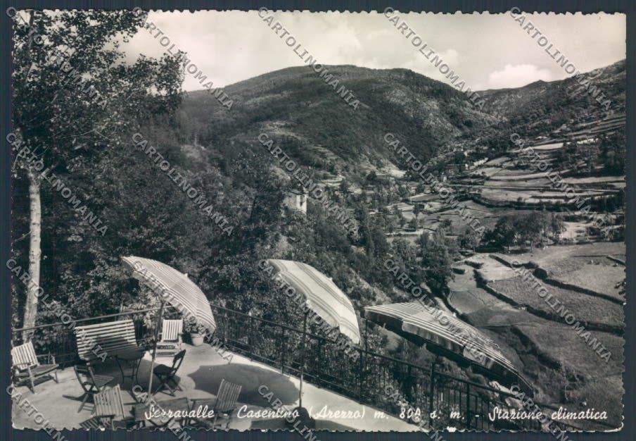 Arezzo Serravalle foto FG cartolina ZF4486 – fronte
