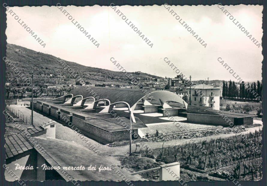 Pistoia Pescia Mercato Fiori foto FG cartolina ZF4514 – fronte