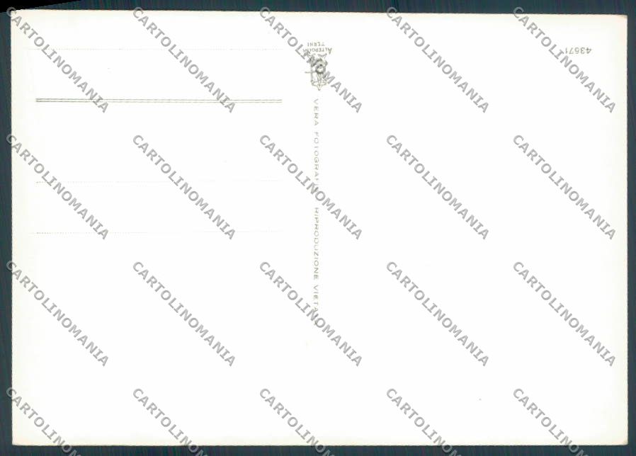 Grosseto città foto FG cartolina ZF4536 – retro